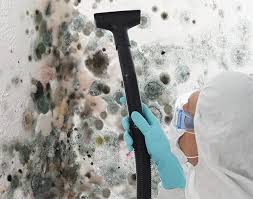 Best Asbestos and Lead Testing During Mold Inspection  in Mulberry, FL